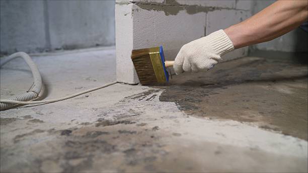Top rated local Wet Basement Repair specialists in Nokesville, VA
